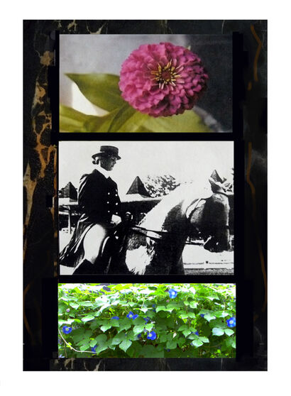 At Devon with Zinni + Morning Glories - a Photographic Art Artowrk by MAL